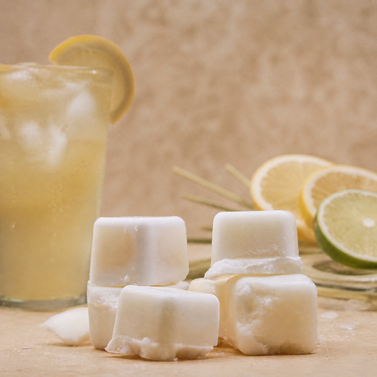 Backroad Lemonade Wax Melts - SEASONAL