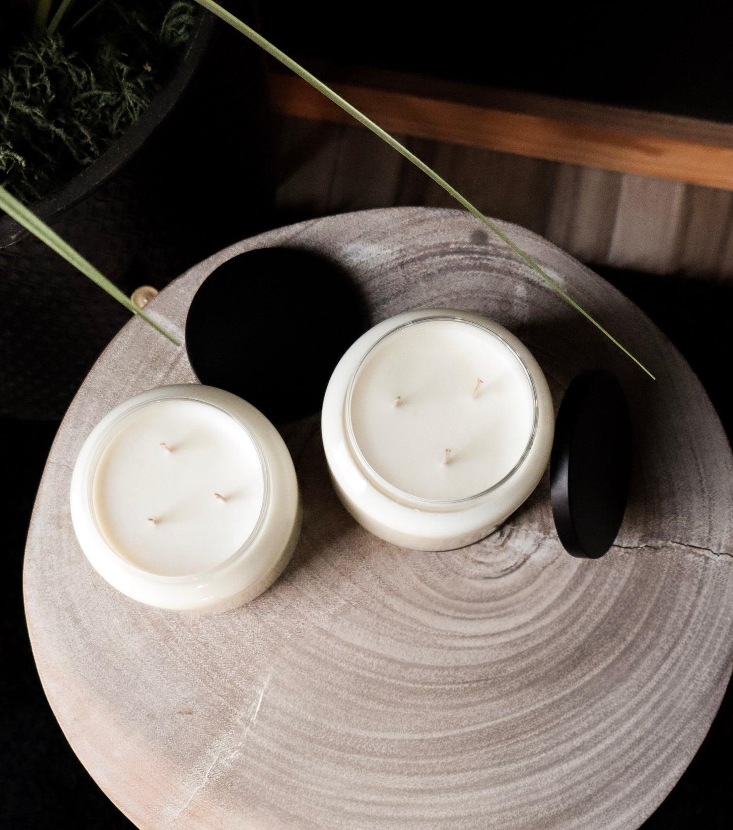 Citronella Triple Wick Soy Candle