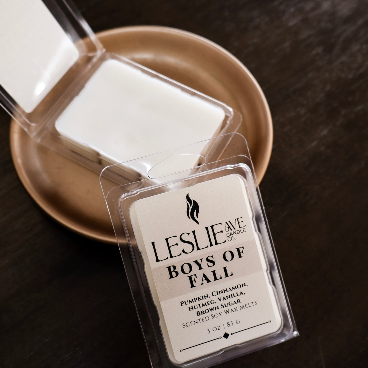 Boys of Fall Soy Wax Melts | Fall Collection